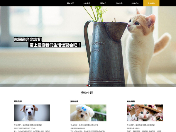寵物店網站建設模闆